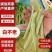 芸豆山东白不老白豆角产地直供对接市场电商商超