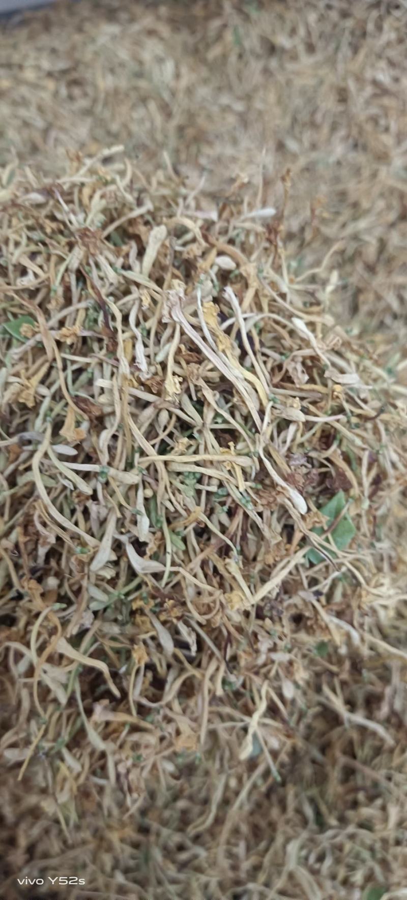 金银花山东银云南银花，规格多货品齐各类花茶批发