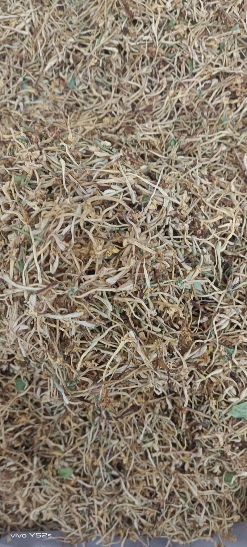 金银花山东银云南银花，规格多货品齐各类花茶批发