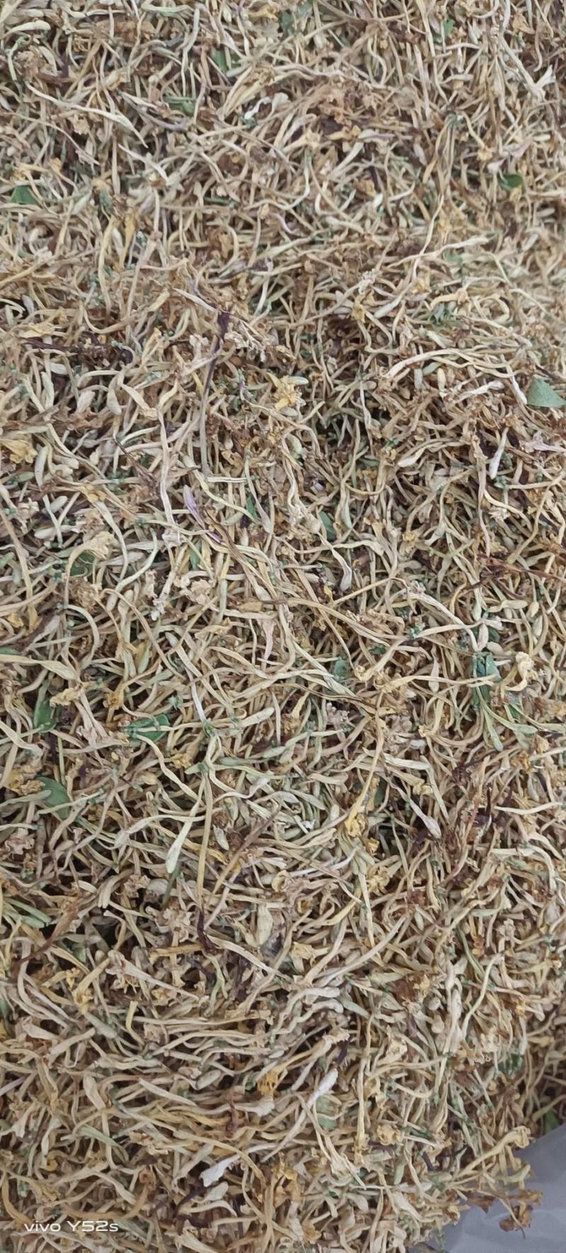 金银花山东银云南银花，规格多货品齐各类花茶批发