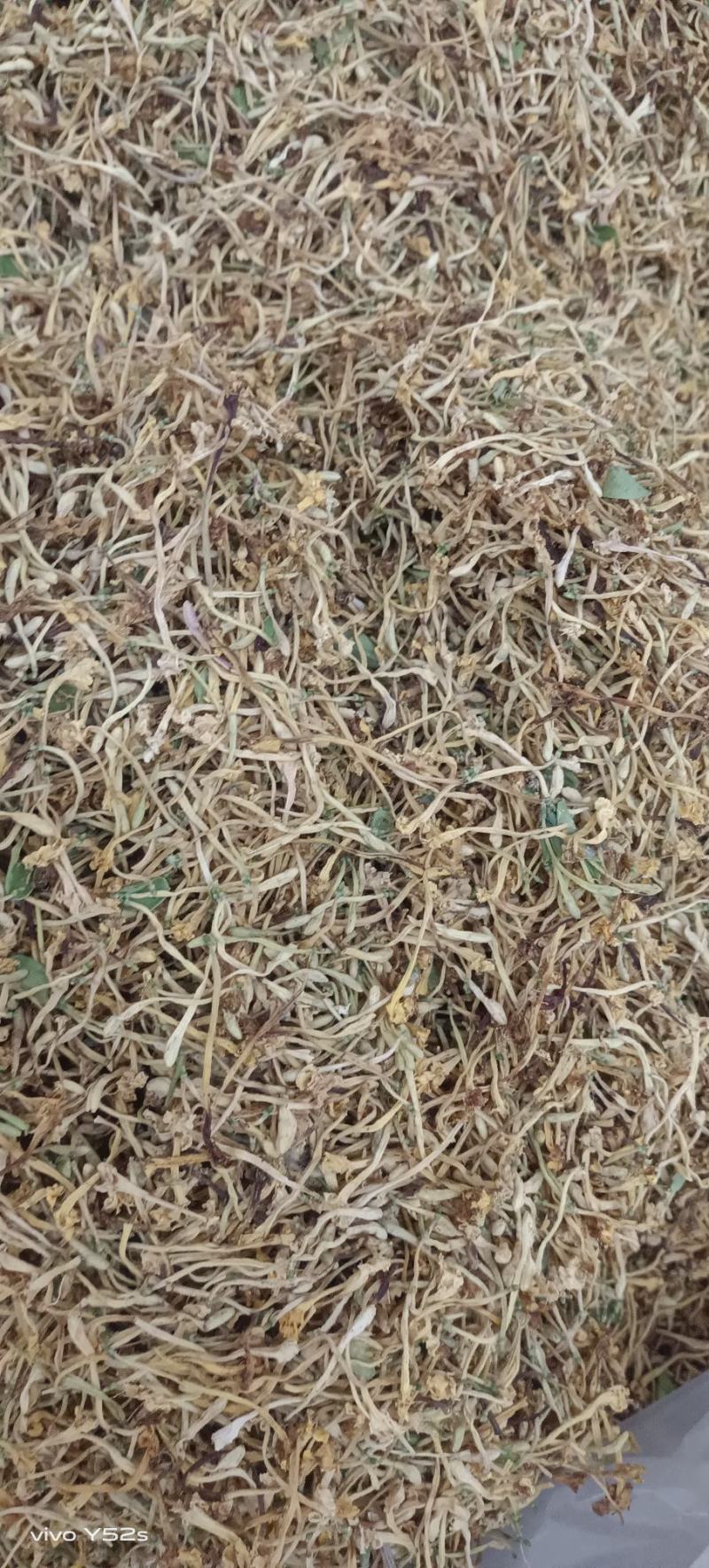 金银花山东银云南银花，规格多货品齐各类花茶批发