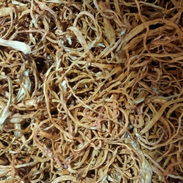 虫草花药食两用***无硫黄***，放心购买