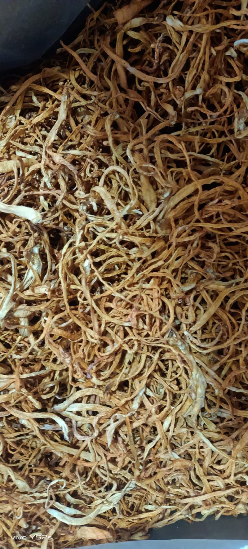 虫草花药食两用***无硫黄***，放心购买