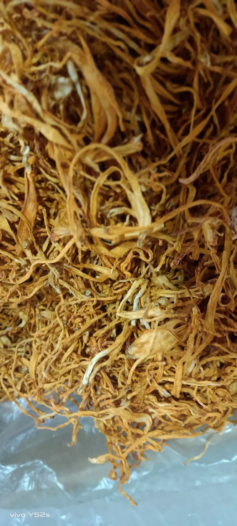 虫草花药食两用***无硫黄***，放心购买