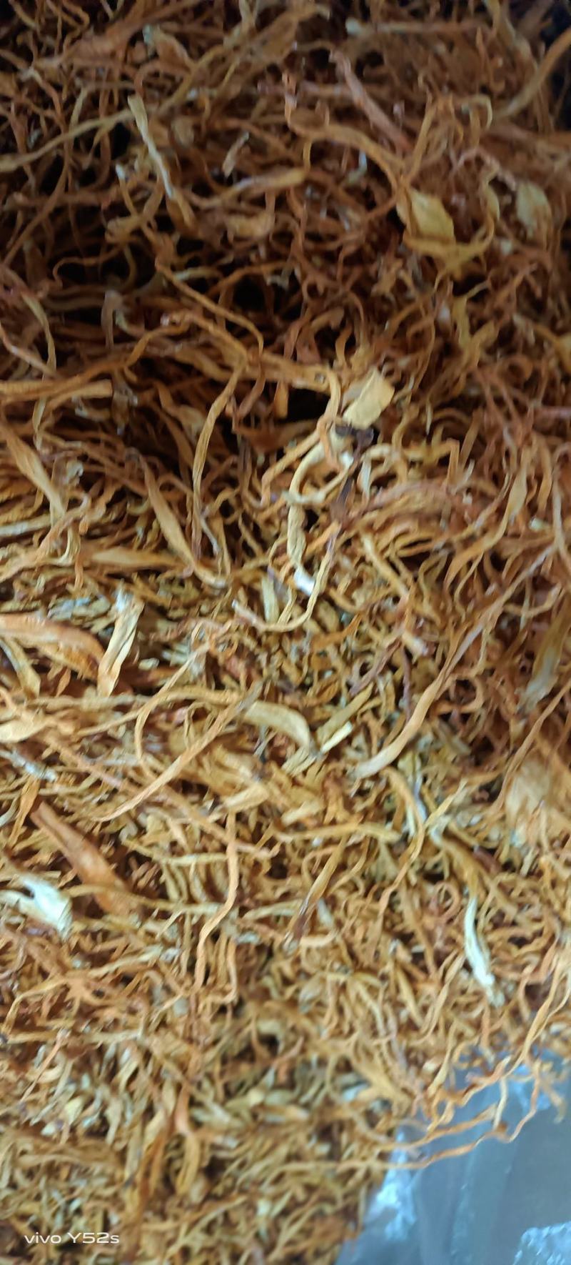 虫草花药食两用***无硫黄***，放心购买