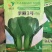 华丽3号青梗菜种子大叶片青菜绿梗耐热夏秋不拔节上海青菜种