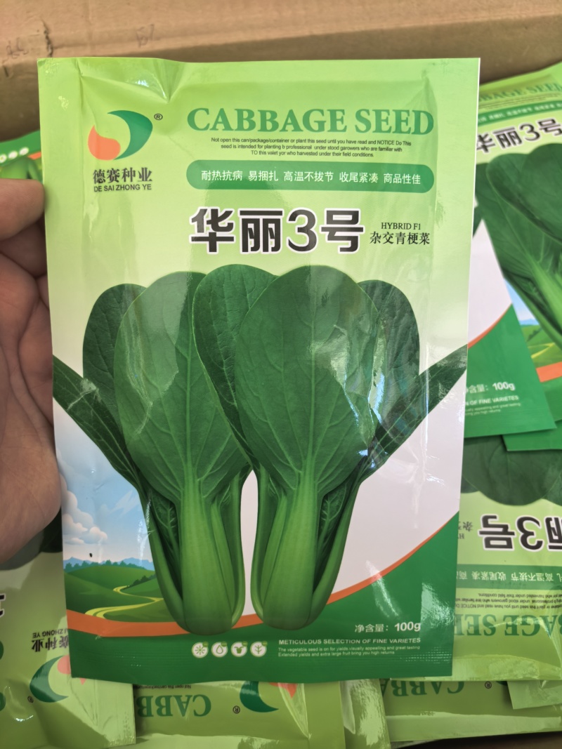华丽3号青梗菜种子大叶片青菜绿梗耐热夏秋不拔节上海青菜种