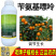 老牌子植校长2%苄氨基嘌呤活性高增加叶绿素提高光合作用