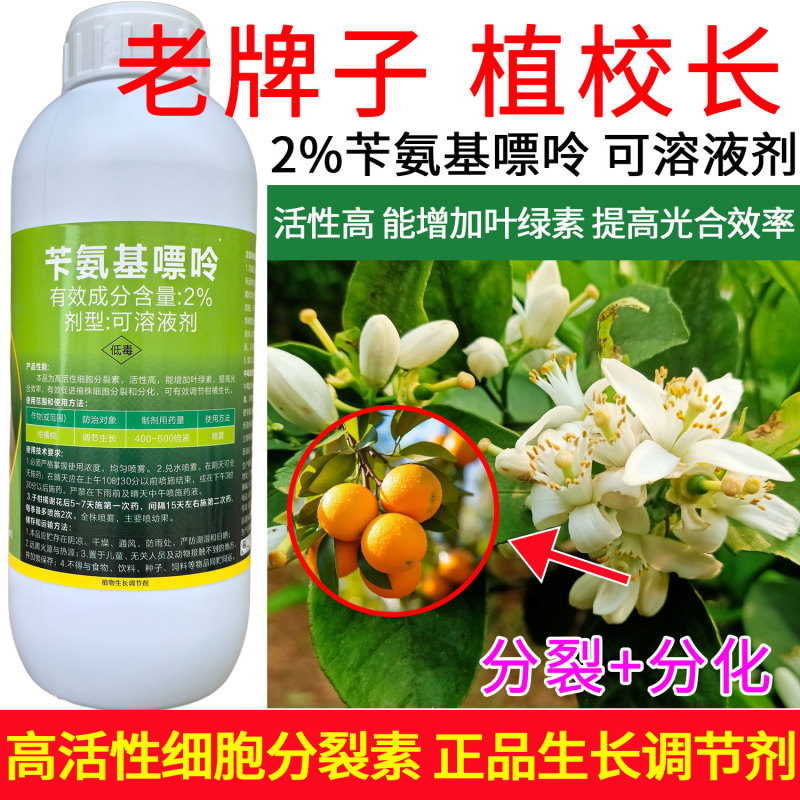 老牌子植校长2%苄氨基嘌呤活性高增加叶绿素提高光合作用