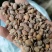 大豆发酵生物菌有机肥，内含1000亿益生菌，欢迎电话选购
