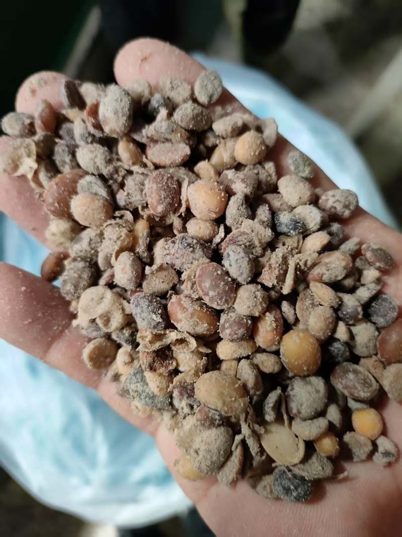 大豆发酵生物菌有机肥，内含1000亿益生菌，欢迎电话选购