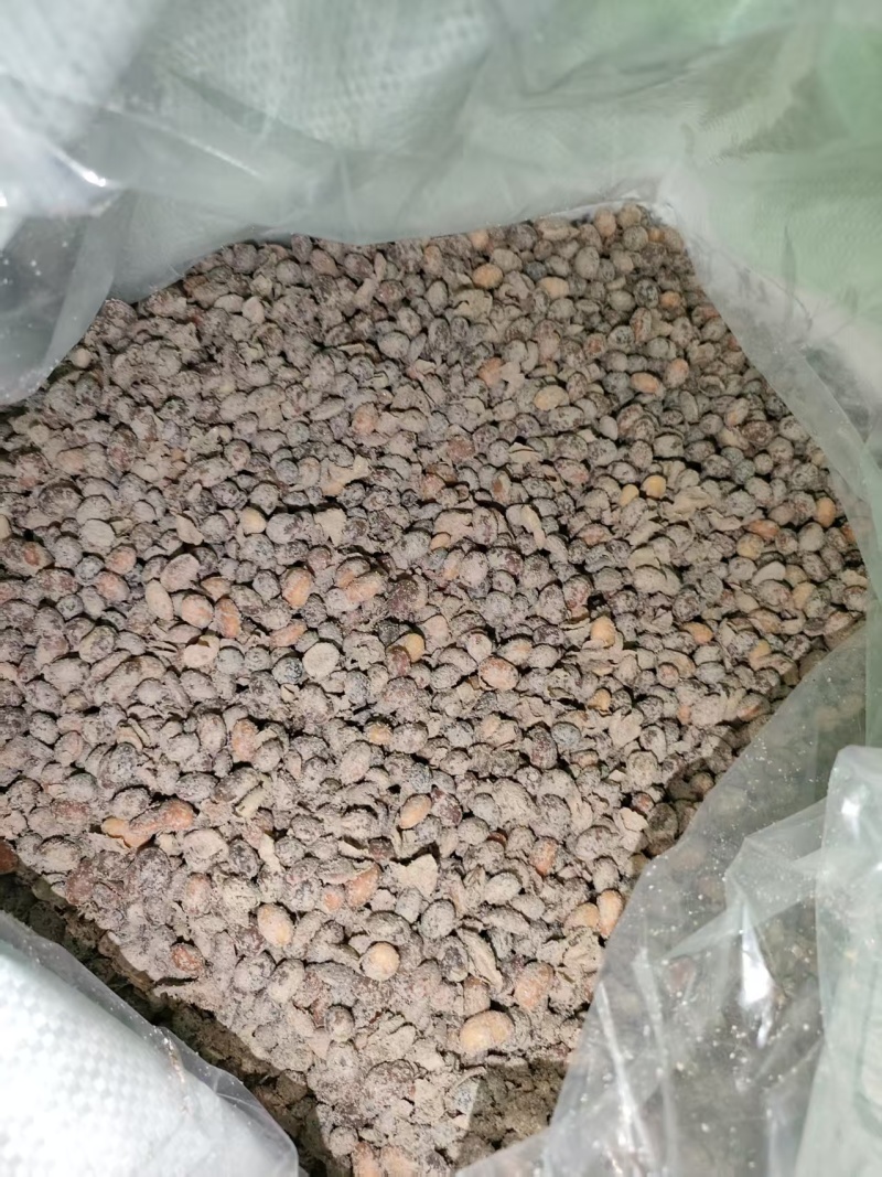 大豆发酵生物菌有机肥，内含1000亿益生菌，欢迎电话选购