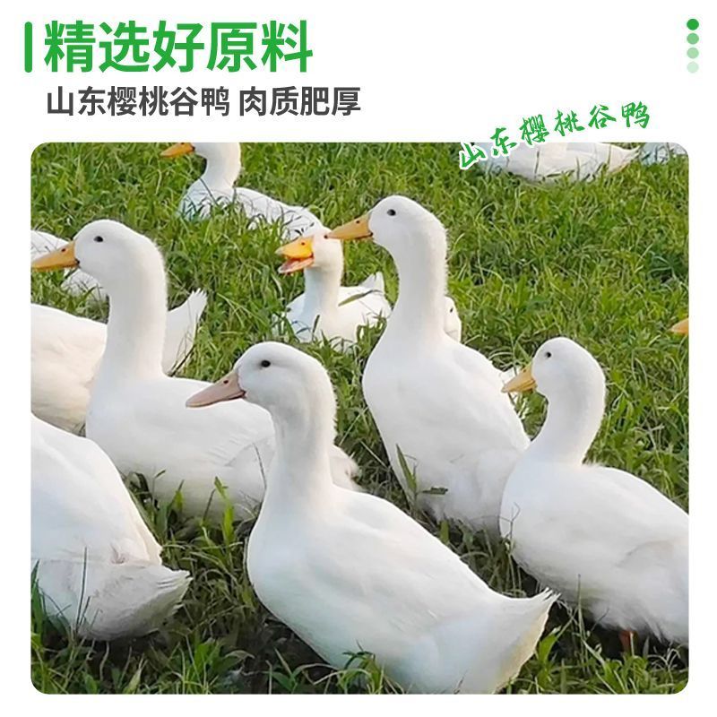 众客优选鸭琵琶腿生鲜新鲜冷冻冰鲜批发卤味商用自用烧烤