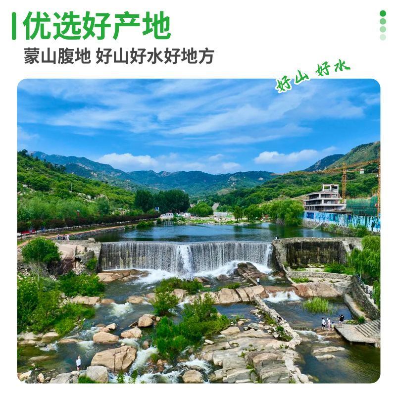 众客优选鸭琵琶腿生鲜新鲜冷冻冰鲜批发卤味商用自用烧烤