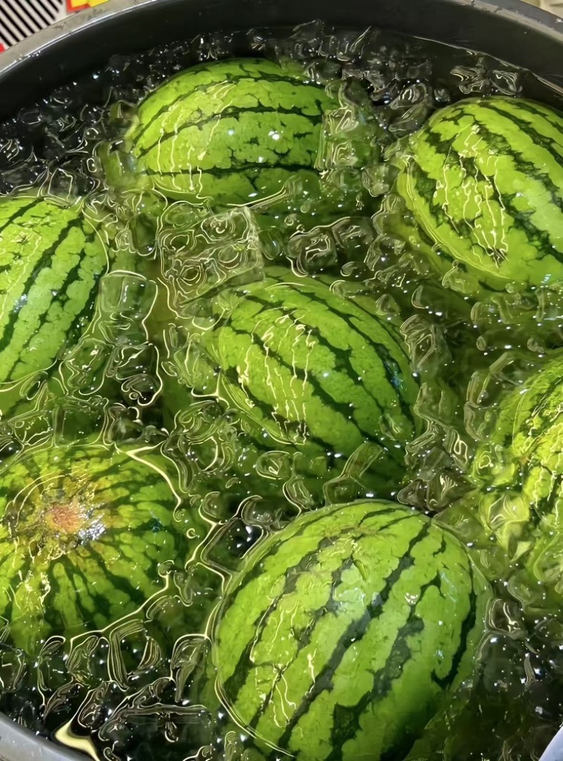 江苏东台**麒麟西瓜❗头茬报恩西瓜抢先尝❗️