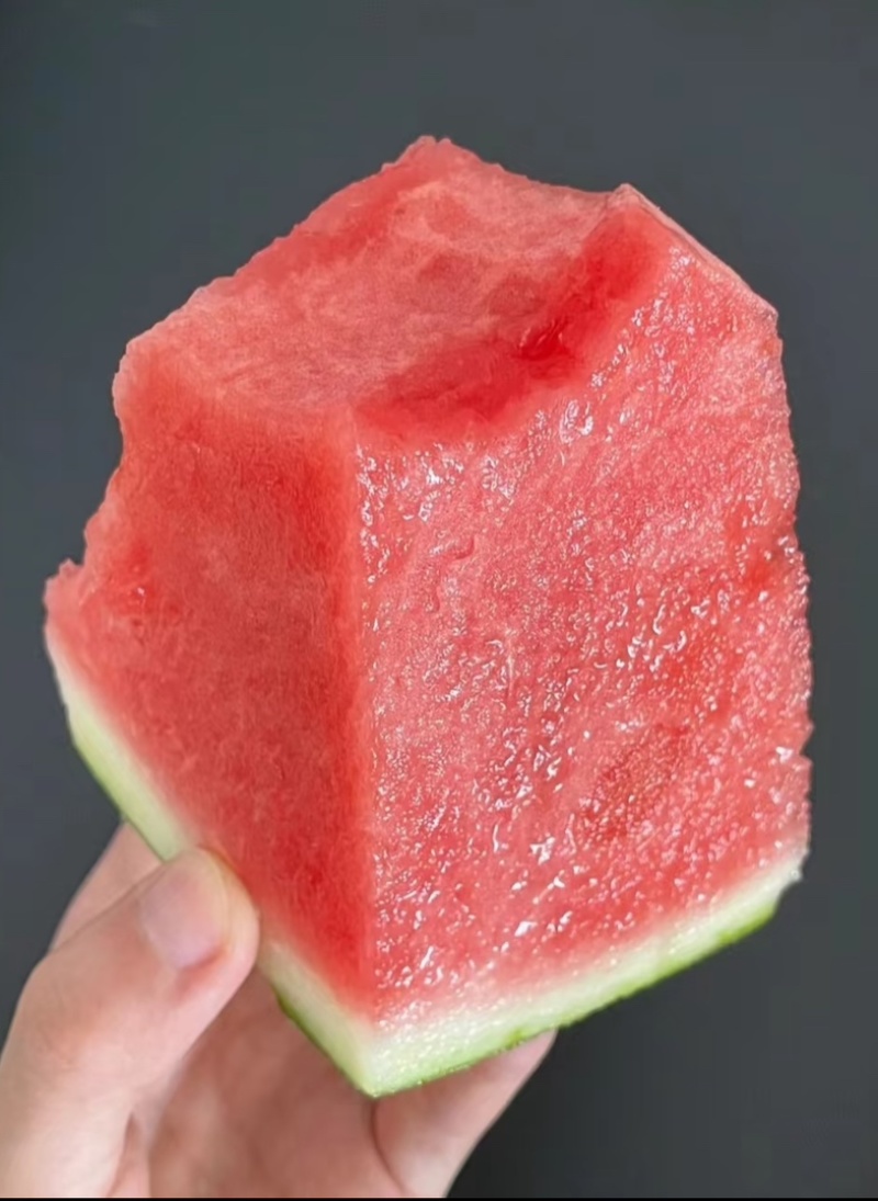 江苏东台**麒麟西瓜❗头茬报恩西瓜抢先尝❗️