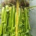 芹菜大量上市，价格实惠