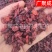 山萸肉枣皮萸肉