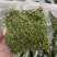 保鲜花椒全网低价350G，批发3块8一袋