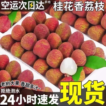 桂花香荔枝一件代发空运直发荔枝一件代发