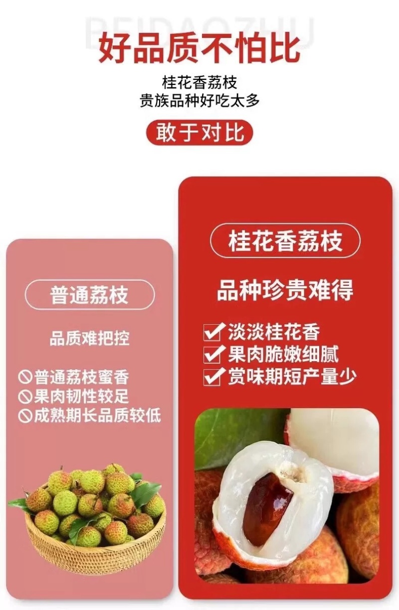 桂花香荔枝一件代发空运直发荔枝一件代发