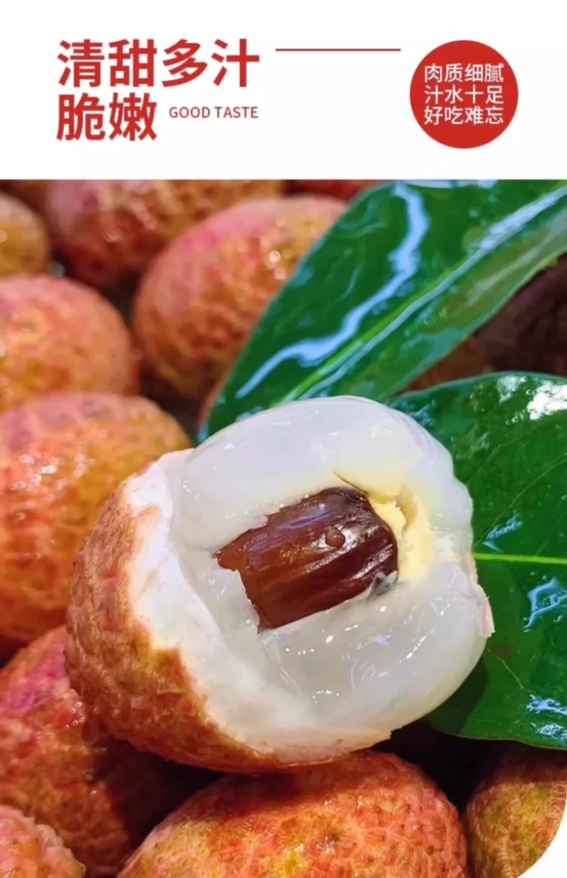 桂花香荔枝一件代发空运直发荔枝一件代发