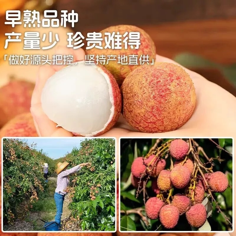 桂花香荔枝一件代发空运直发荔枝一件代发