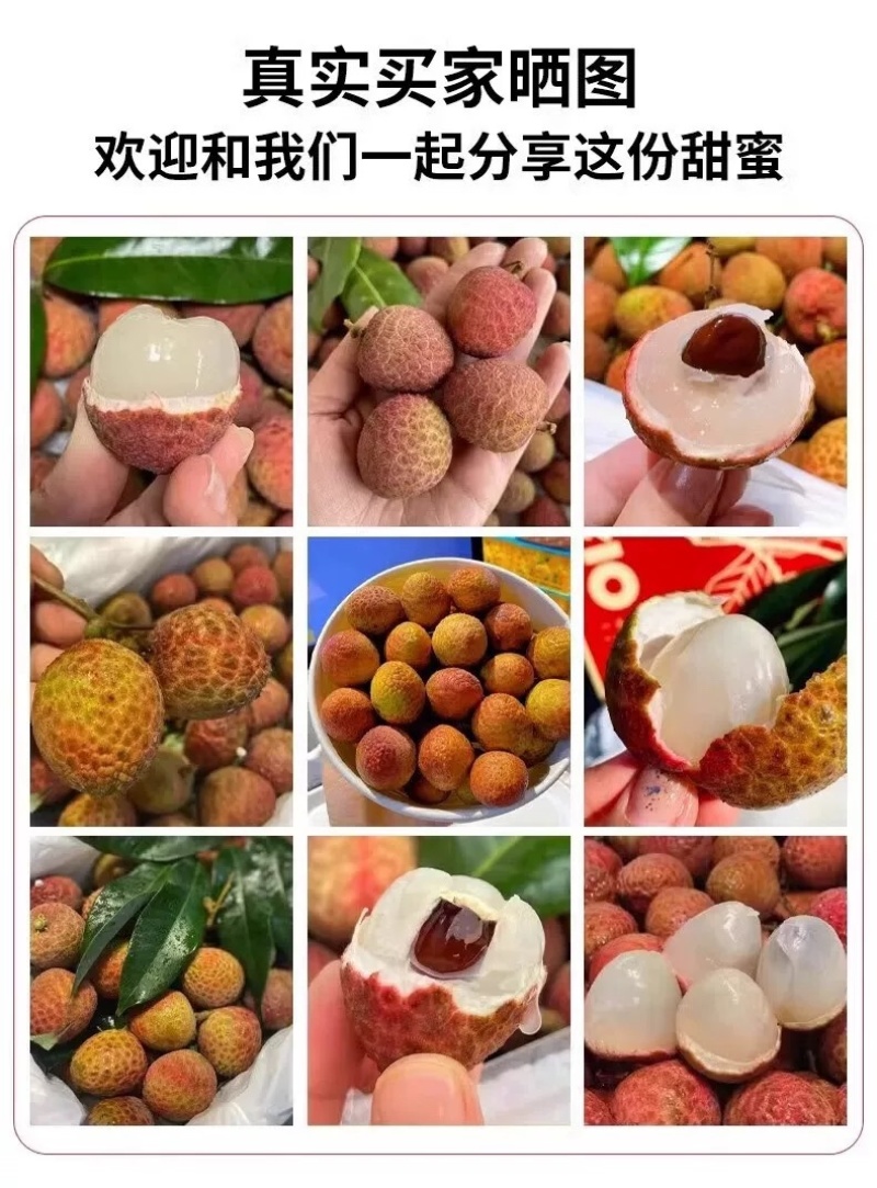 桂花香荔枝一件代发空运直发荔枝一件代发