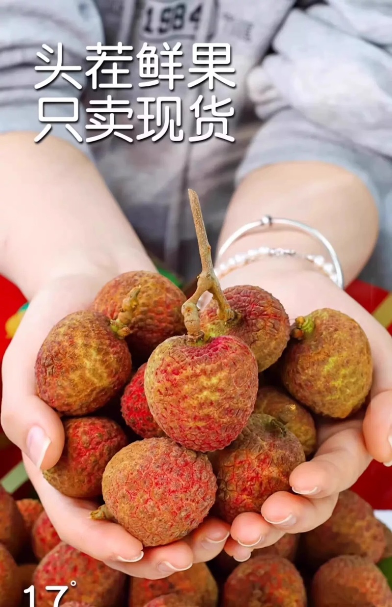 桂花香荔枝一件代发空运直发荔枝一件代发