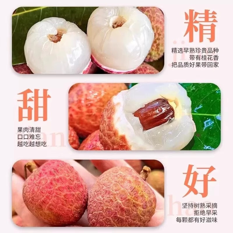 桂花香荔枝一件代发空运直发荔枝一件代发