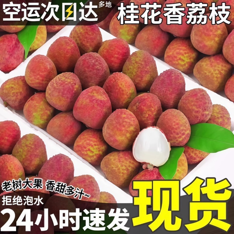 桂花香荔枝一件代发空运直发荔枝一件代发