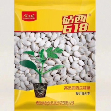 金妈妈砧西618西瓜砧木种子，黑杆，亲和力强，抗病能力强