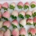 四川粉玉草莓，自家种植，现摘现发。欢迎咨询