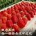 四川红颜草莓，自家种植，现摘现发。欢迎咨询