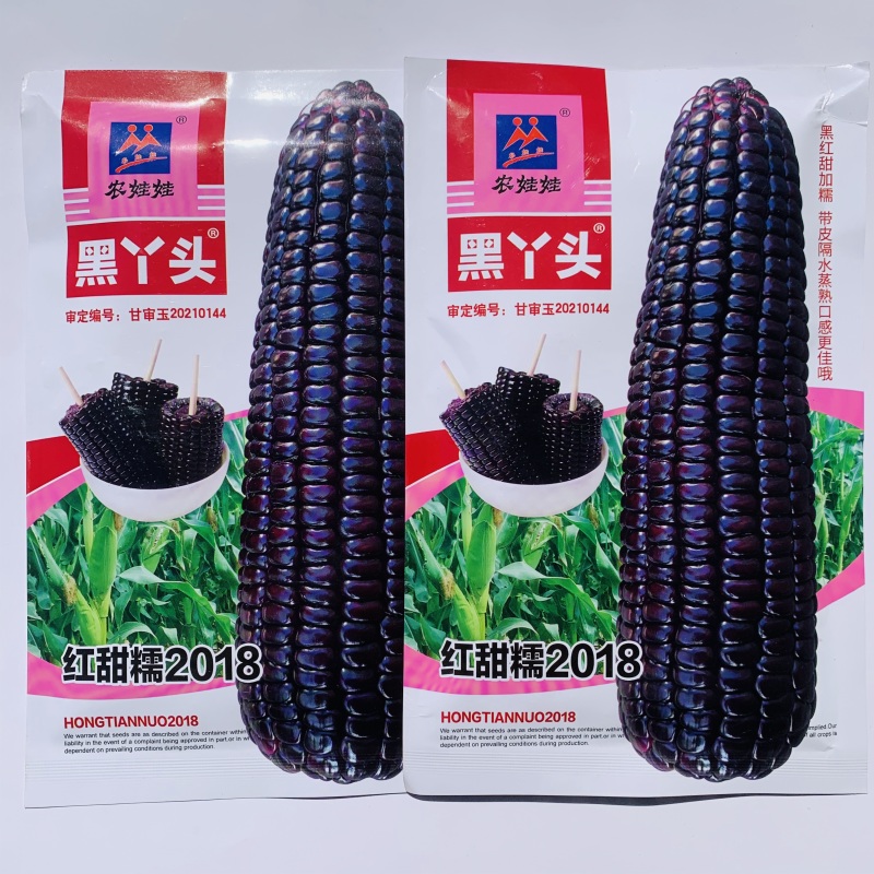 黑丫头玉米种籽红甜糯18红黑甜加糯玉米种子非转黑糯玉米种