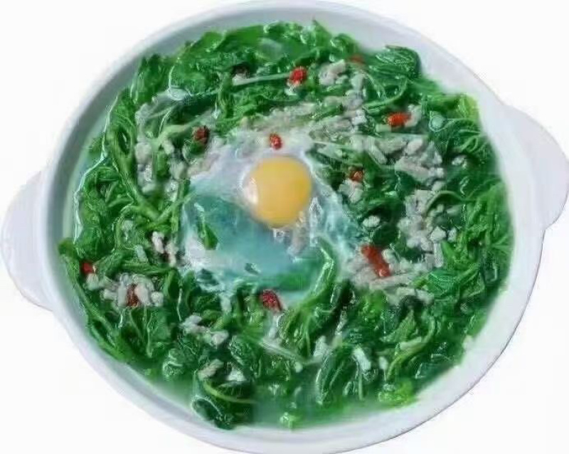 桑芽菜