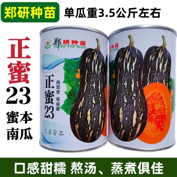 面甜南瓜正蜜23蜜本南瓜种子味面甜杂交一代南瓜种籽甜糯