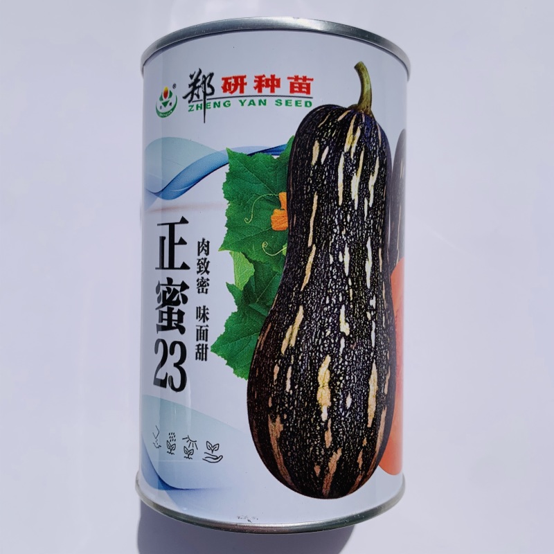 面甜南瓜正蜜23蜜本南瓜种子味面甜杂交一代南瓜种籽甜糯