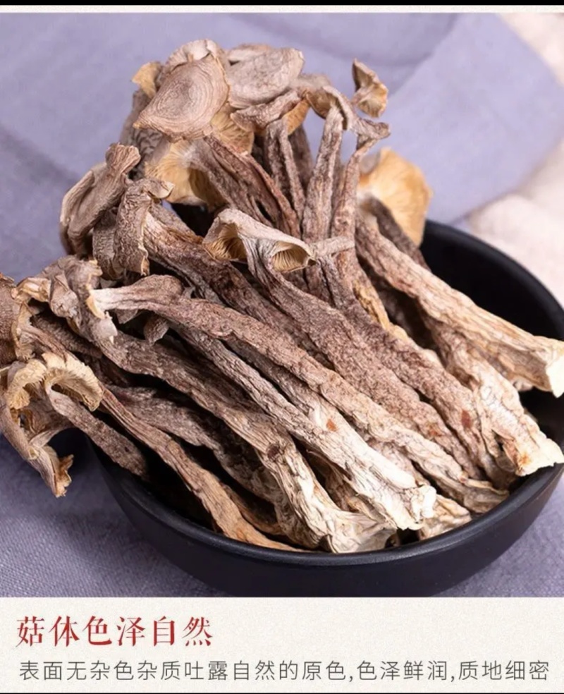 2025新货鹿茸菇品质保证价格优惠欢迎来电洽谈合作