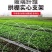玻璃钢拱棚支架塑料大棚支撑架拱形架子地膜防雨园艺实心拱杆