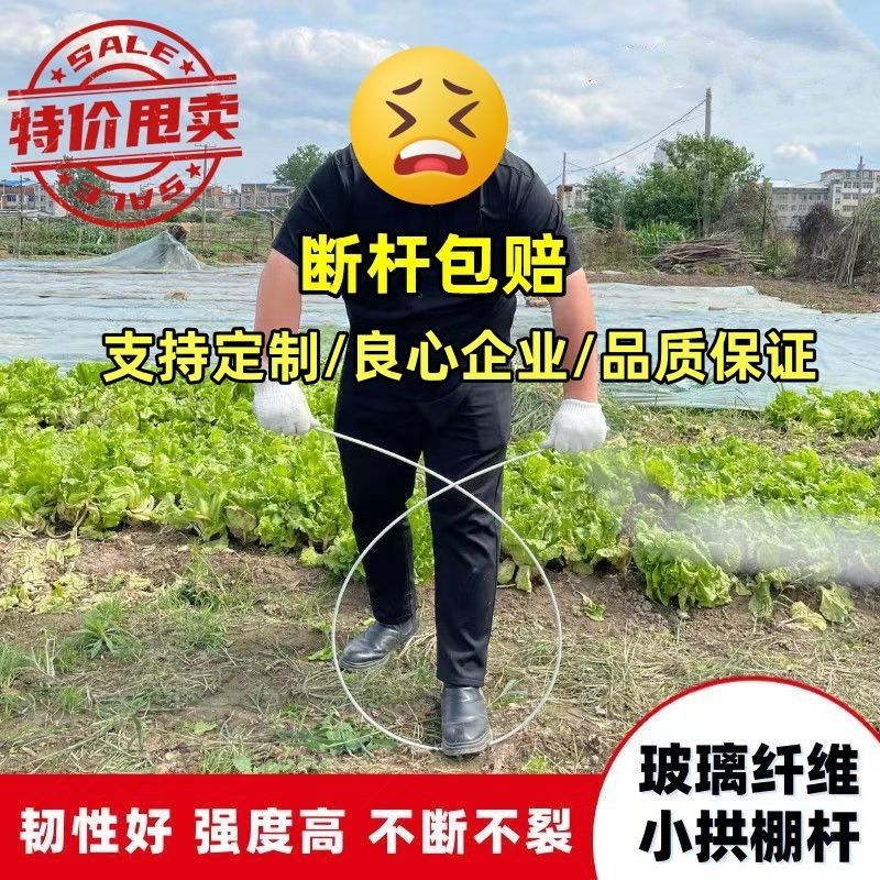 玻璃钢拱棚支架塑料大棚支撑架拱形架子地膜防雨园艺实心拱杆