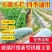 玻璃钢拱棚支架塑料大棚支撑架拱形架子地膜防雨园艺实心拱杆