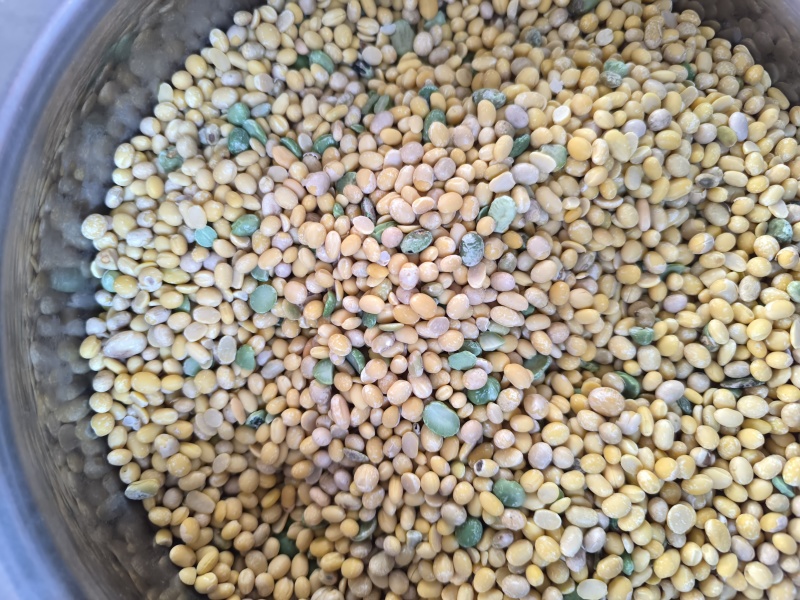 脱皮黄豆，高蛋白豆瓣，豆制品首选