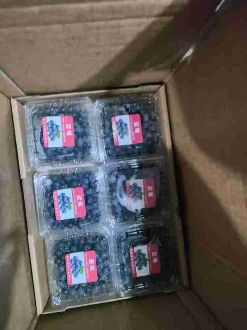 基地直供新鲜蓝莓F6优瑞卡L25薄雾.绿宝石，H5