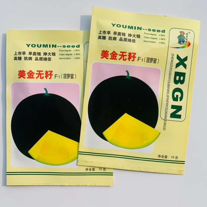 美金无籽菠萝蜜西瓜种子新疆黑皮黄瓤无籽西瓜种籽早熟果皮薄
