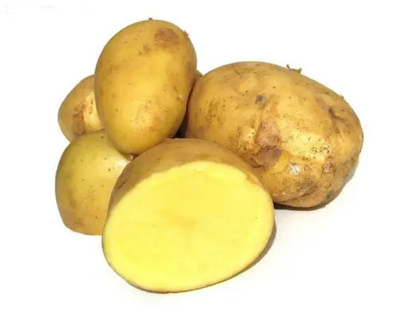 黄心土豆新鲜新土豆黄皮土豆洋芋马铃薯黄肉土豆批发
