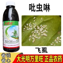 大光明万里旺5%吡虫啉胃毒水稻飞風触杀作用内吸性杀虫