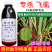 大光明万里旺5%吡虫啉胃毒水稻飞風触杀作用内吸性杀虫
