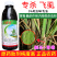 大光明万里旺5%吡虫啉胃毒水稻飞風触杀作用内吸性杀虫
