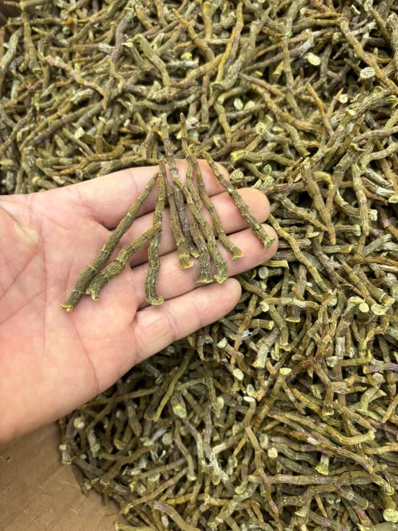 铁皮石斛，铁皮石斛条，霍山铁皮石斛，可以免费打粉